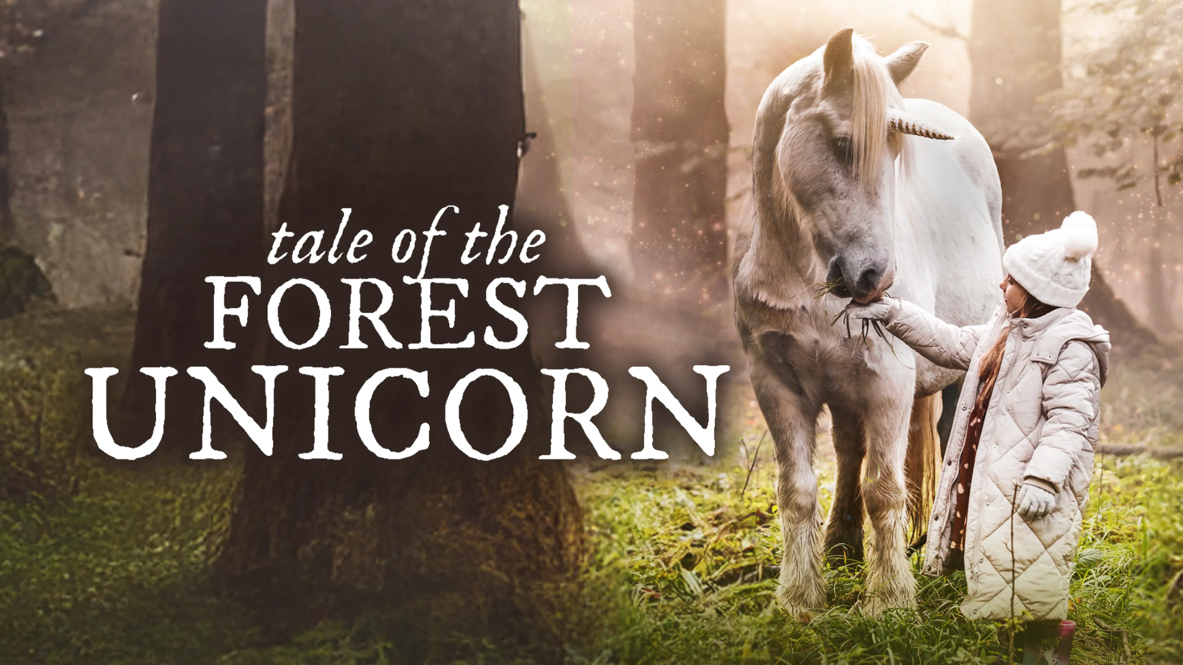 Tale of the Forest Unicorn poster